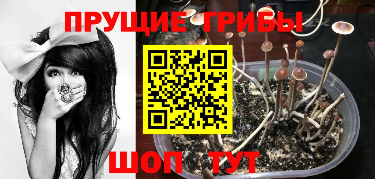 Учалы  Псилоцибиновые грибы мицелий  Вход с VPN 